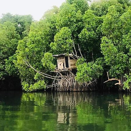 Koggala River Safari